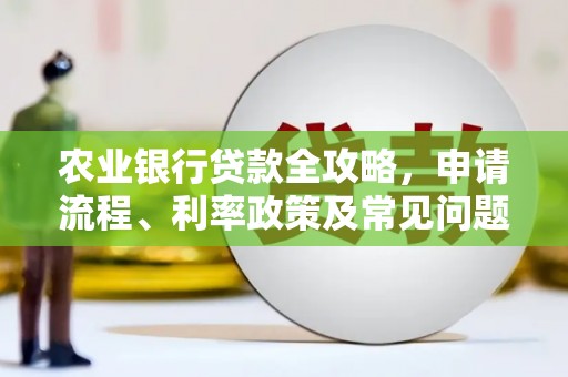林边农业银行贷款全攻略，申请流程、利率政策及常见问题解析