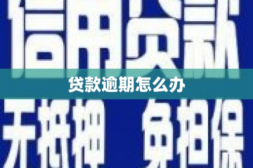 林边贷款逾期怎么办