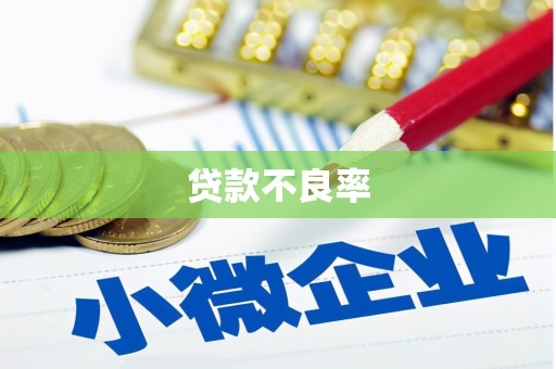林边贷款不良率