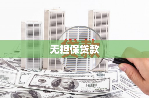 林边无担保贷款
