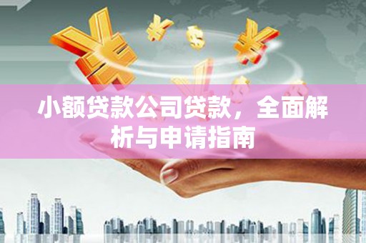 林边小额贷款公司贷款，全面解析与申请指南