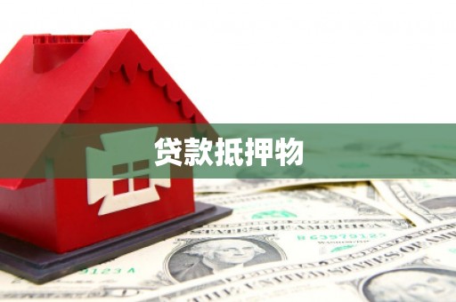 林边贷款抵押物