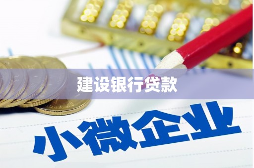 林边建设银行贷款