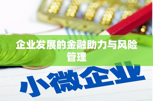 林边企业发展的金融助力与风险管理