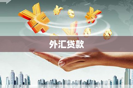 林边外汇贷款
