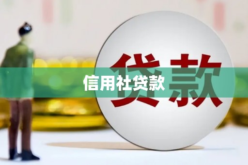 林边信用社贷款