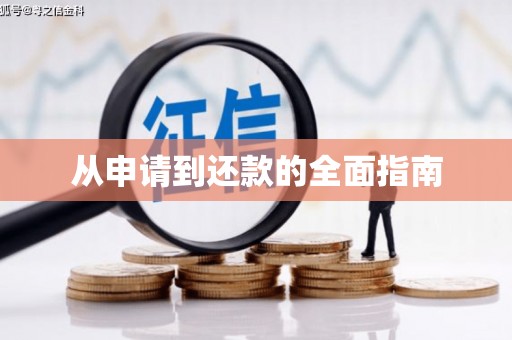 林边从申请到还款的全面指南