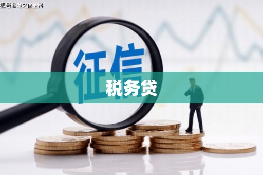 林边税务贷