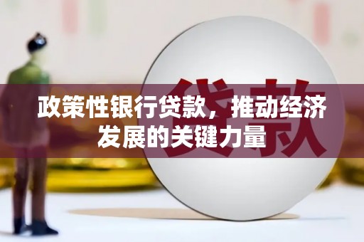 林边政策性银行贷款，推动经济发展的关键力量