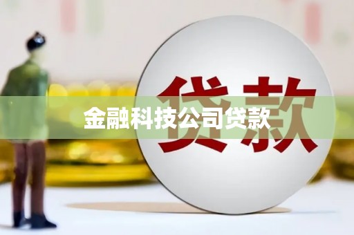 林边金融科技公司贷款
