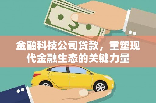 林边金融科技公司贷款，重塑现代金融生态的关键力量