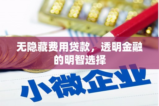 林边无隐藏费用贷款，透明金融的明智选择