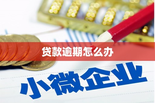 林边贷款逾期怎么办