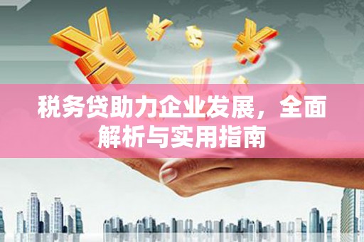 林边税务贷助力企业发展，全面解析与实用指南