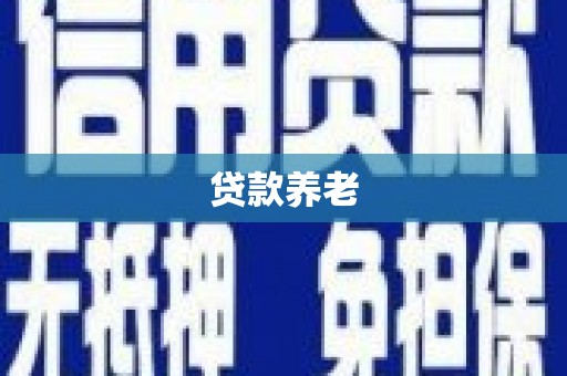 林边贷款养老