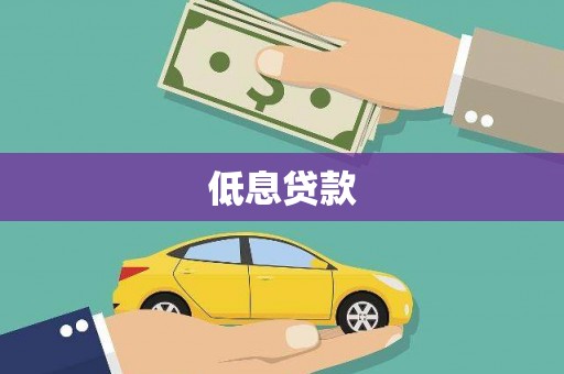 林边低息贷款