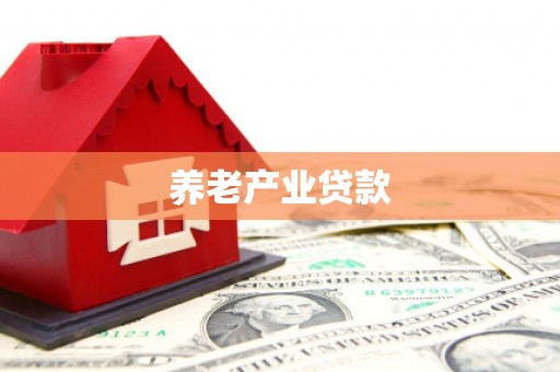 林边养老产业贷款