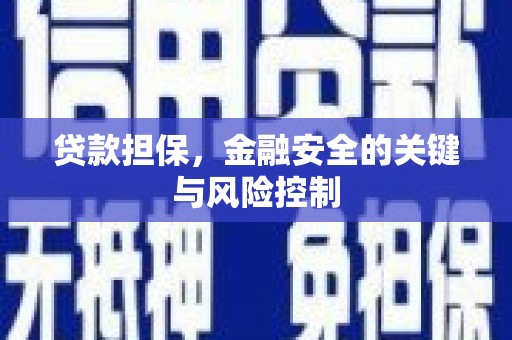 林边贷款担保，金融安全的关键与风险控制