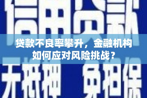 林边贷款不良率攀升，金融机构如何应对风险挑战？