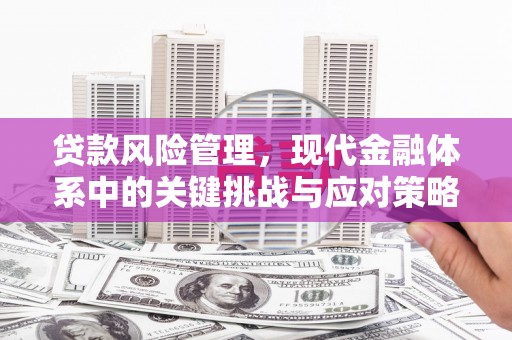 林边贷款风险管理，现代金融体系中的关键挑战与应对策略