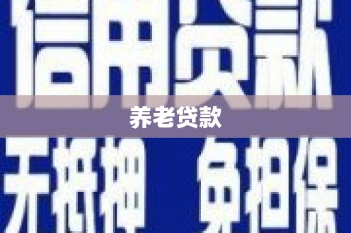 林边养老贷款