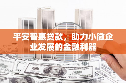 林边平安普惠贷款，助力小微企业发展的金融利器