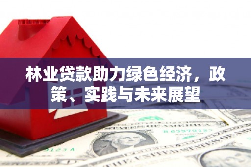 林边林业贷款助力绿色经济，政策、实践与未来展望