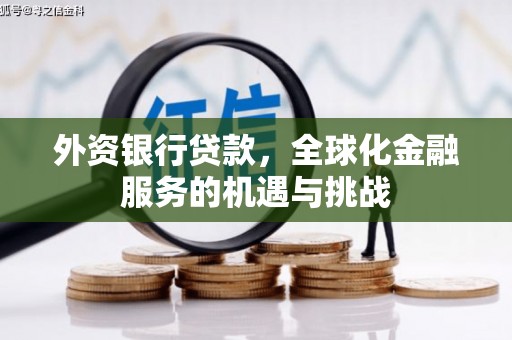 林边外资银行贷款，全球化金融服务的机遇与挑战