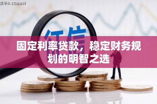 林边固定利率贷款，稳定财务规划的明智之选