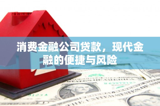 林边消费金融公司贷款，现代金融的便捷与风险