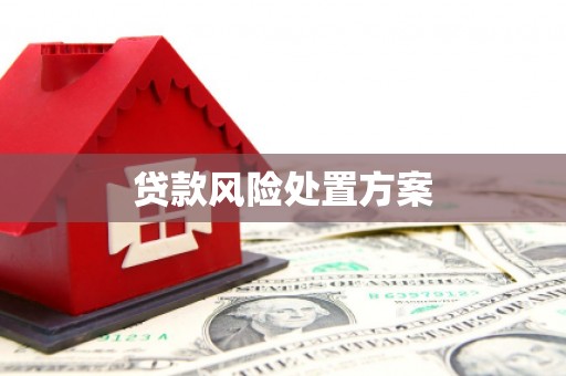 林边贷款风险处置方案