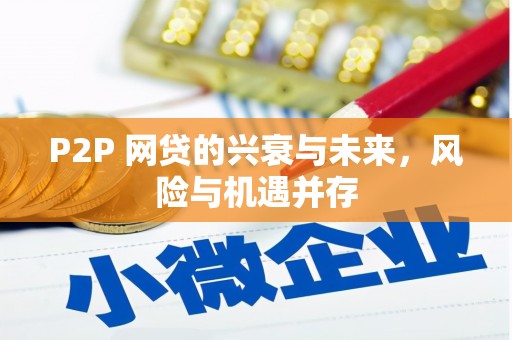 林边P2P 网贷的兴衰与未来，风险与机遇并存