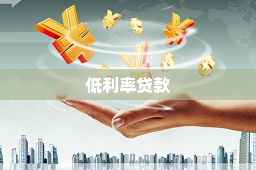 林边低利率贷款
