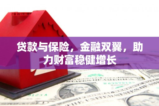林边贷款与保险，金融双翼，助力财富稳健增长