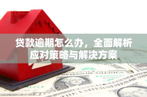 林边贷款逾期怎么办，全面解析应对策略与解决方案