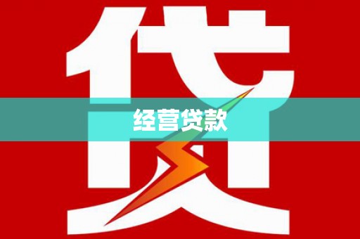 林边经营贷款
